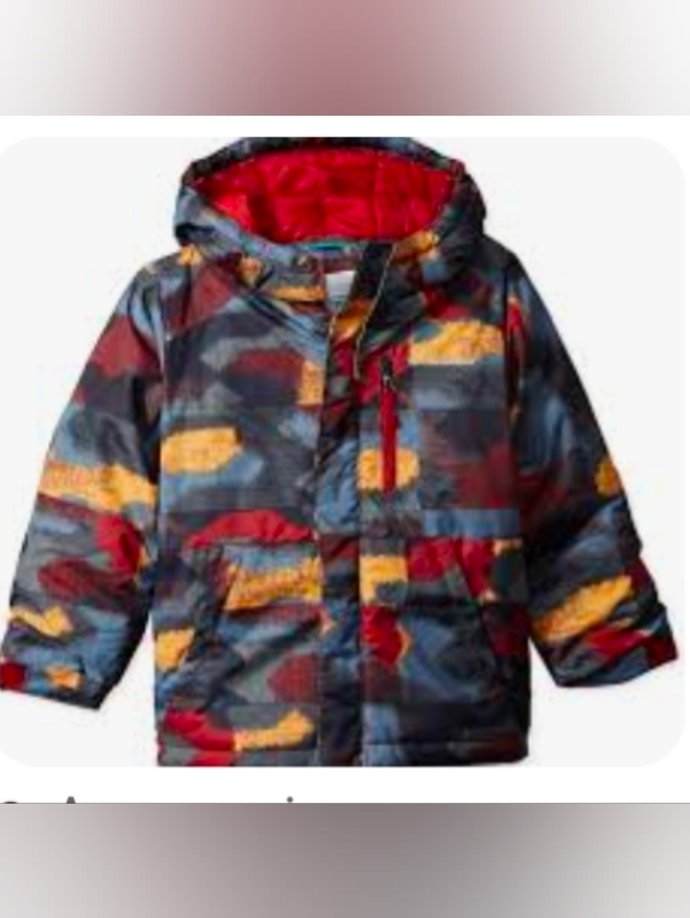Boy's 4T Columbia Lightning Lift Hooded Jacket